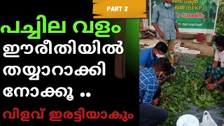 GREEN MANURE|പച്ചിലവളം നിർമ്മിക്കാം വിളവ് ഇരട്ടിയാക്കാം