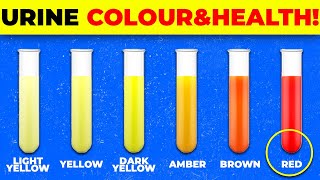 What Urine Color Says about your Health | | FIT & HEALTHi