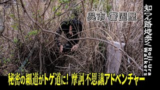 【路地歩き】【アドベンチャー回】「秘密の細道がトゲ道に！摩訶不思議アドベンチャー」