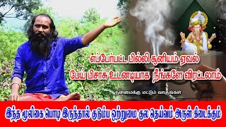 சாதாரண மூலிகை கொண்டு சகல துஷ்ட சக்திகளும் விரட்டலாம் -  குல தெய்வம் அருள் கிடைக்கும் -  8825535003