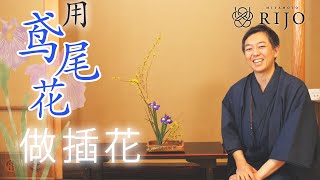 如何才能让花看起来更有魅力。花道家 宫本理城介绍鸢尾花的插花方法【插花】