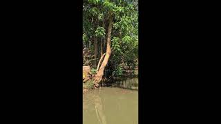 Kachanh Waterfall, Ratanakiri,  Cambodia