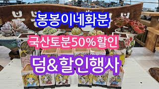 6월14일 #봉봉이네화분#수제공방분#다육화분#이쁜화분#국산토분50%할인세일