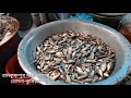 রামকৃষ্ণপুর মাছ বাজার ramkrishnapur fish market ramkrishnapur bazar