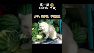 是個很角色!!  | 笑一笑，每天都開心 發給需要笑容的好友吧  #Shorts #笑話 #迷因 #每日笑話 #meme