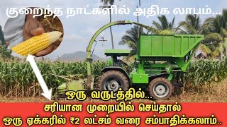 ஒரு ஏக்கரில் 2 லட்சம் 🤑 ரூபாய் சம்பாதிக்கலாம்| Corn Silege Harvesting