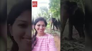 ஹேய் ரஞ்சிதமே.! - ஏன்னா Sync-ஆ ஆடுறாங்க.! | Elephant