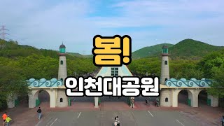 인천대공원 봄나들이 초록초록 하더라