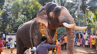 മീനാടൻ ആറ്റൂർ കാർത്യായനി അമ്പലത്തിൽ 🔥😎 | Meenad Vinayakan | Attoor Karthyayani Temble Niramala 2021