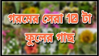 গরমের সেরার সেরা 10 টি ফুল যা আপনার বাগানকে করে তুলবে সব থেকে সুন্দর || Top 10 flower plants ||