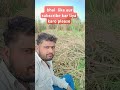 honge tere bade chahane wale Aashiq Aisa #shortvideo #viral #reels #viral  #shorts 🥀🥀🥀🥀🙏