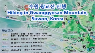 #경기 #수원 #광교산 산행 Hiking in Gwanggyosan Mountain, Suwon, Korea