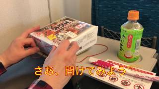 東京〜新大阪 牛タン弁当いただきす 駅弁の旅