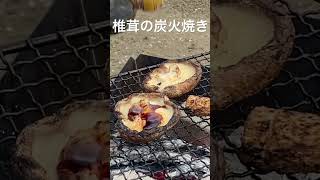 炭火で食べる椎茸ってなんでこんなに美味しいんだろう…？