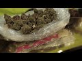 High Times 2017 Cannabis Cup Ty Dolla $ign