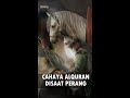 cahaya quran disaat perang kisah teladan islami shorts