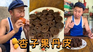 【杏子果丹皮】用杏做一张小时候梦寐以求的特大号果丹皮，满满的果香味味道更甜