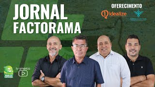 Jornal Factorama 05/11/2024