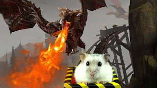 Hamster in Roller Coaster with Fire Breathing Dragon