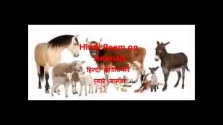 Hindi poem on animals, हिन्दी कविता-मेरे प्यारे जानवर