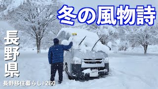 【長野移住】年末年始は人間も猿もやっぱり温泉が一番!!｜地獄谷野猿公苑｜SNOW MONKEY RESORTS｜ おぶせ温泉｜ドライブ｜田舎暮らし｜長野県｜4K