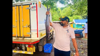 50000 രൂപയുടെ മീനോ ? | ചാലിയത്തെ മീൻ മാർക്കറ്റ് | CHALIYAM HARBOUR | THE HUNGER BUDDY