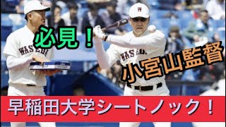 【東京六大学野球】 早稲田大学シートノック2020年 秋季リーグ戦【立教戦】ノッカー 元ロッテ小宮山監督！