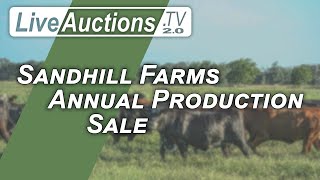 Sandhill Farms Annual Production Sale