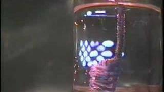 ALIEN 5 [Episode 1]