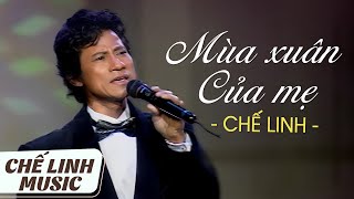 CHẾ LINH - MÙA XUÂN CỦA MẸ (TRỊNH LÂM NGÂN) | Bản gốc đẹp âm thanh chuẩn nhất