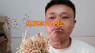 鱼腥草对不起！实在顶不住你的味道！