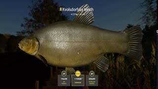 Russian fishing 4~ Rf4 : Trophy Kvolsdorfsky Tench