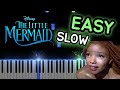 Little Mermaid - Part of your World - EASY PIANO (SLOW)