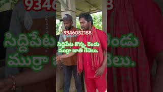 .9346082188.ప్యూర్ ముర్రా జాతి గేదలు అమ్మబడును.