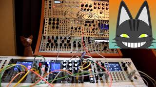 Eurorack Modular - Sunday Morning Synthesis Technology E352 Cloud Terrarium