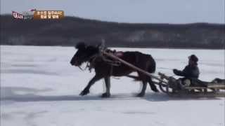 [아시아헌터_몽골] 하늘과 맞닿은 설원 위를 달리는 말 썰매