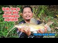 Teknik mancing ikan baung sungai liar | Essential guide to catch wild Malaysian catfish (Baung)