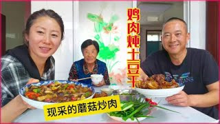 要降温了小园茄子辣椒往下薅，现采蘑菇炒肉，鸡肉炖土豆干，像样