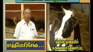 மாடு வளர்ப்பு   7 - Cattle Farming - Cow Rearing in Tamil 🐄🐂🐮