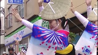 東京新のんき連　高円寺中通り商店街プレ阿波おどり2017