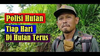 NGOBROL SINGKAT DENGAN POLISI HUTAN