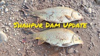 Shahpur Dam Update | 28-12-2024