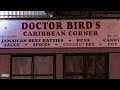 06. dr birds