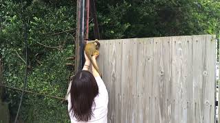 【おでかけ】伊豆シャボテン公園〜リスザルに出会う〜