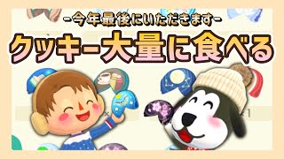 【ポケ森】2022年最後に大量のフォーチュンクッキー食べてみた！スッキリして新年迎えよう！【どうぶつの森 ポケットキャンプ】