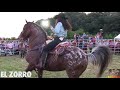 linda vaquerita campeona😍💪batalla de caballos bailadores🐴 rancho el encanto winder ga.