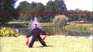 陈式太极双刀 Chen Style Tai Chi Double Sabres in St. Louis, MO