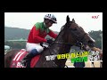 2017 제2회 코리아컵