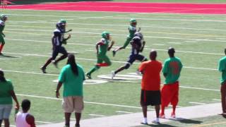 TwinSportsTV: Dekalb Yellow Jackets vs. Georgia Rattlers (11U Football)