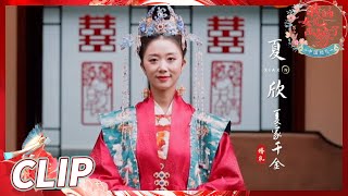 全员古装扮相！高度还原沉浸式新中式婚礼场景！《中国婚礼》 Chinese Wedding EP10丨HunanTV